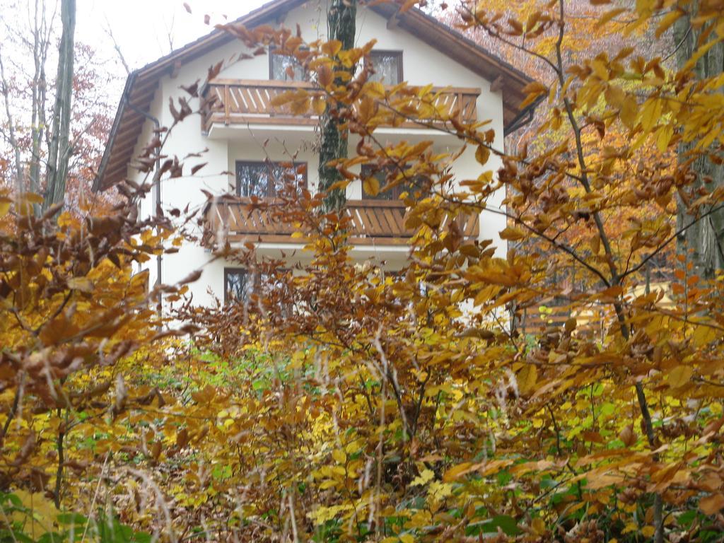 Casa De Vacanta Mogosa Бая-Сприе Экстерьер фото